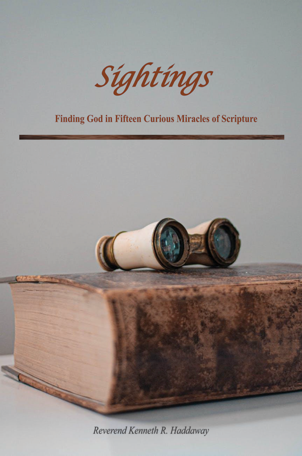 Sightings _ Finding God in Fifteen Curious Miracles of Scripture